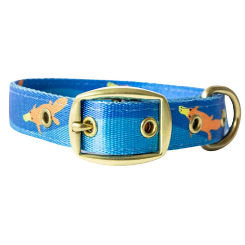 Anipal Piper The Platypus Recycled Dog Collar