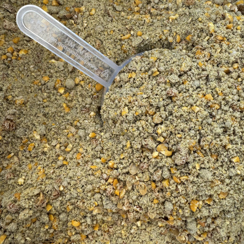 Black Horse Naturals Gut Align