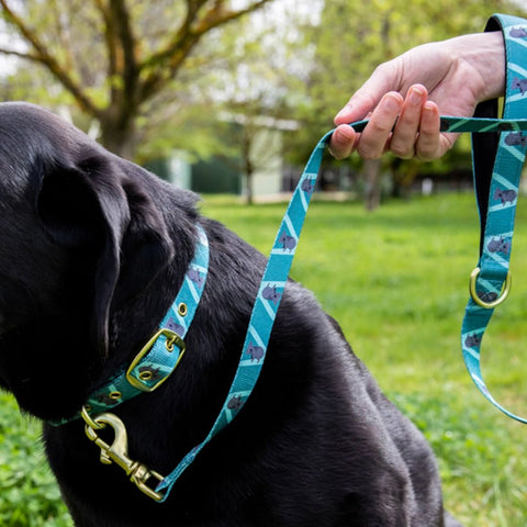 Anipal Kylo the Koala Dog Leash
