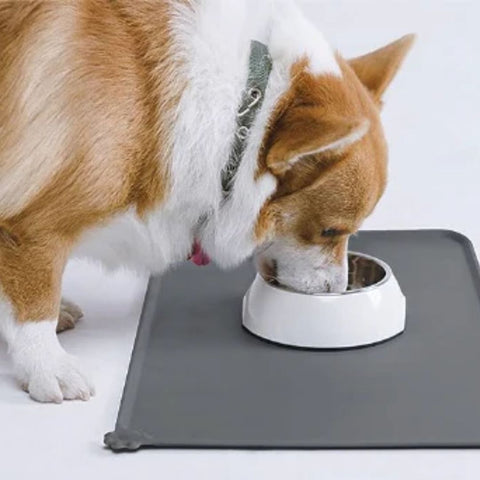 All Fur You Silicone Pet Feeding Mat