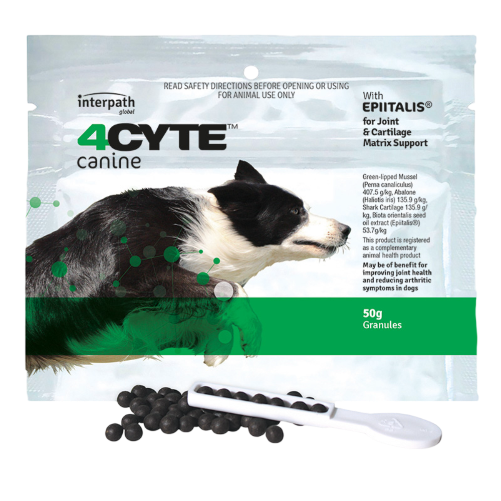 Canine Joint Support Supplement