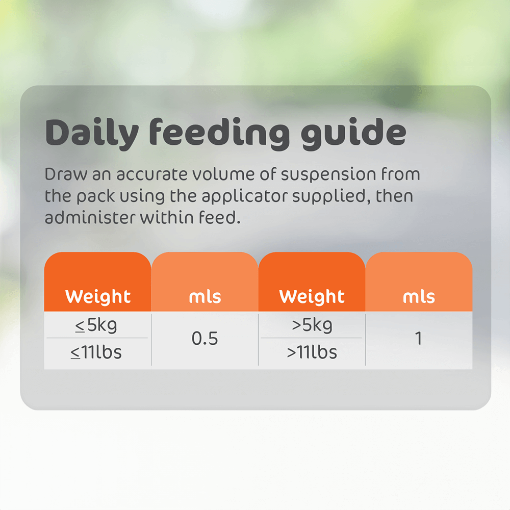 Epiitalis Forte Gel For Cat Joint Health Support