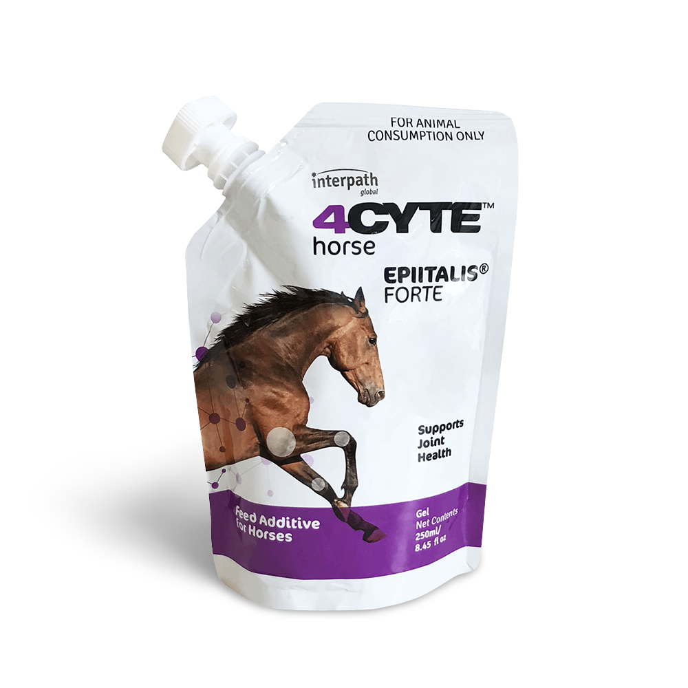 Epiitalis Forte Gel For Horses Supports Joint Health