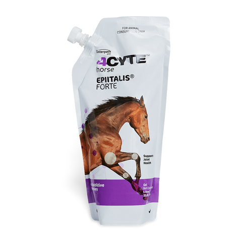 Epiitalis Forte Gel For Horses Supports Joint Health