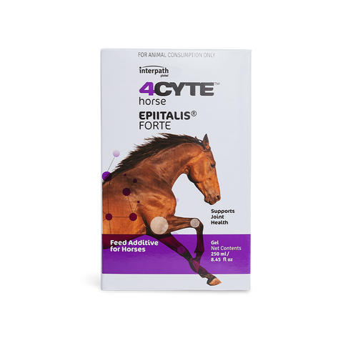 Epiitalis Forte Gel For Horses Supports Joint Health