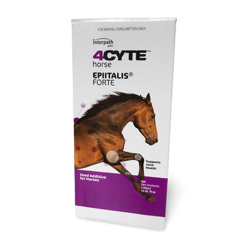 Epiitalis Forte Gel For Horses Supports Joint Health