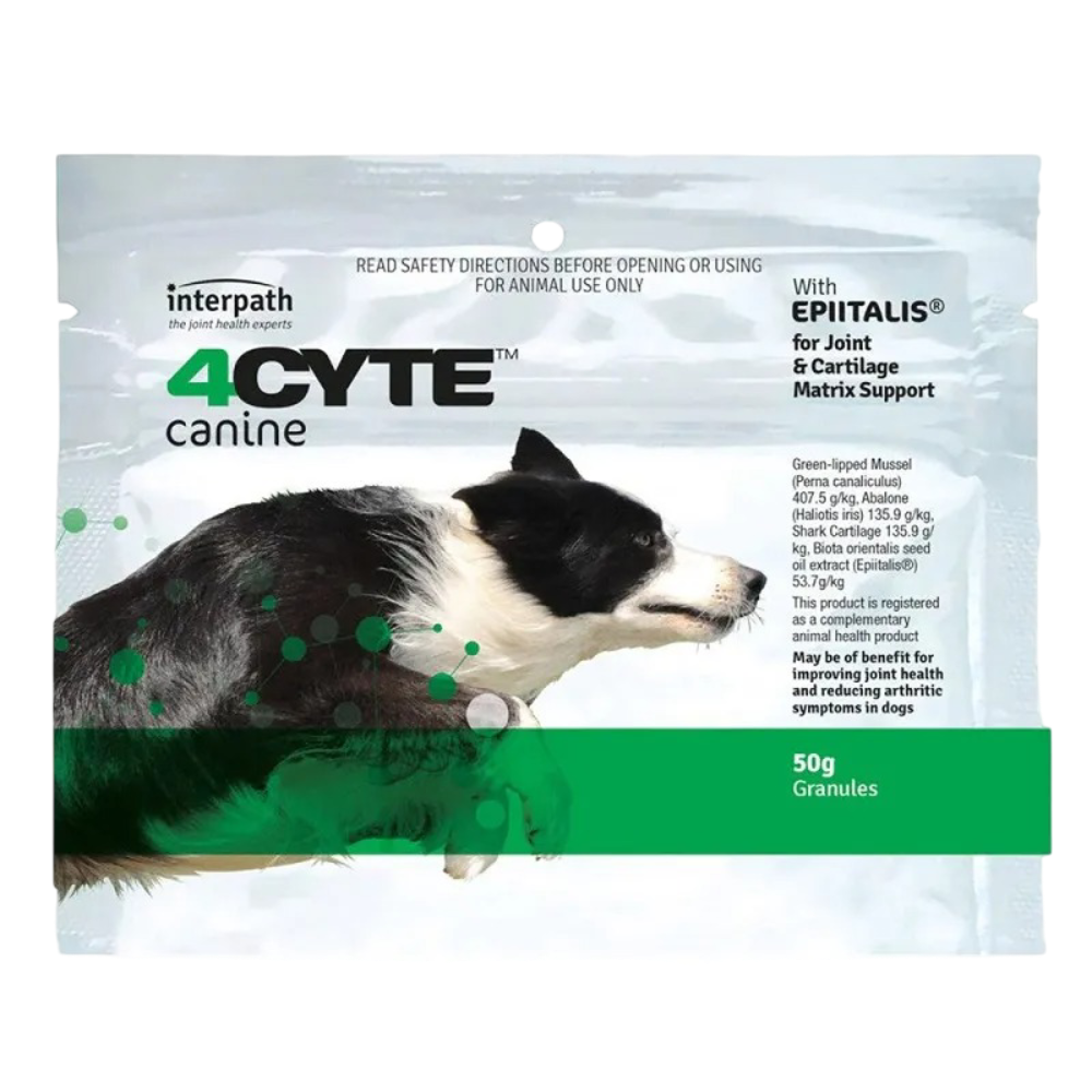 Canine Joint Support Supplement