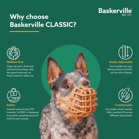 Classic Basket Muzzle Dog Beige