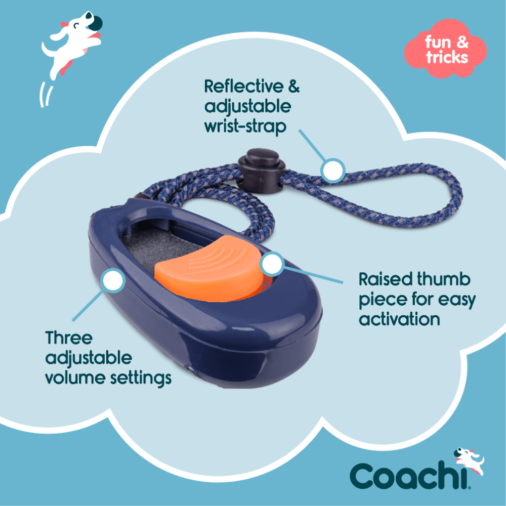 Dog Multi Clicker Navy