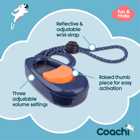Dog Multi Clicker Navy