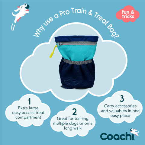 Pro Training Dog Treat Bag Navy Light Blue