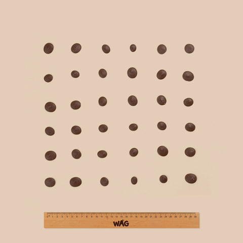 WAG Yoghurt Drops Carob