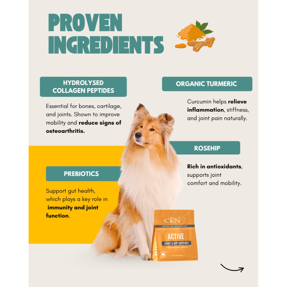 Active Joint & Hip Supplement For Dogs