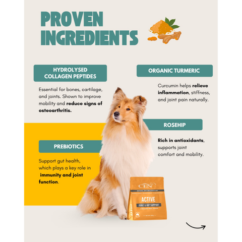 Active Joint & Hip Supplement For Dogs