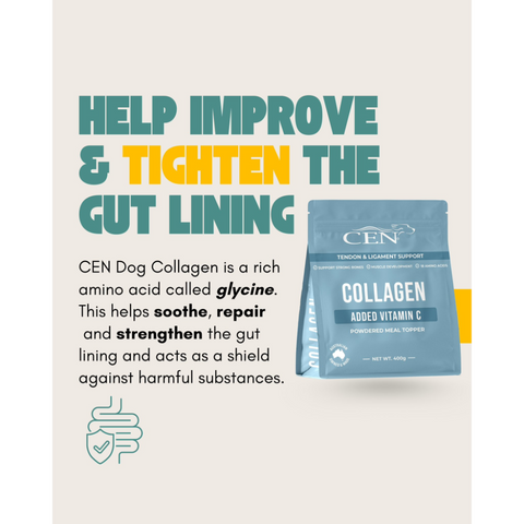 Collagen with Vitamin C Supplement for Dogs