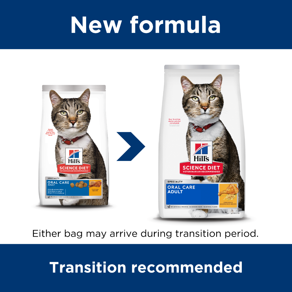 Oral Care Adult Dry Cat Food
