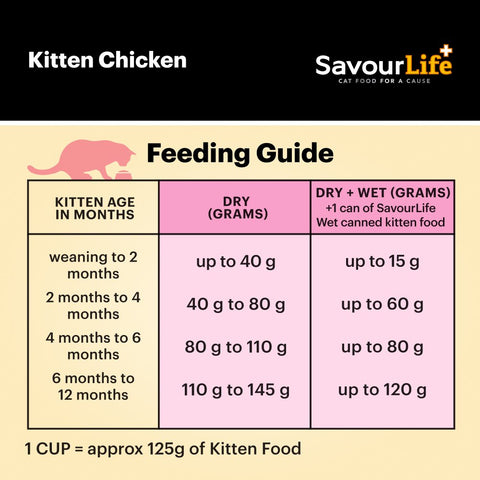 Chicken Kitten Dry Cat Food