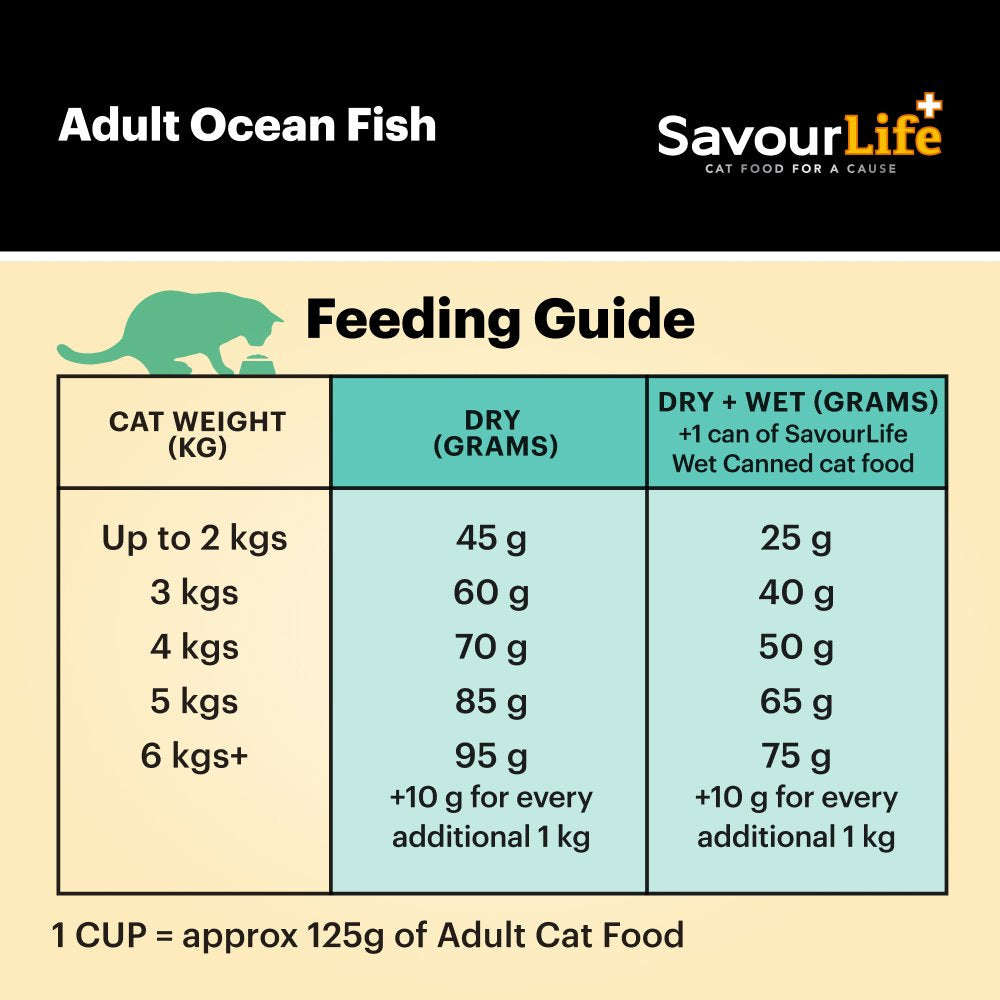 Ocean Fish Adult Dry Cat Food