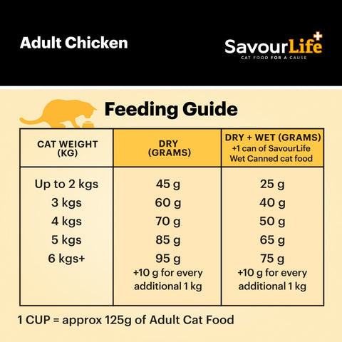 Chicken Adult Dry Cat Food