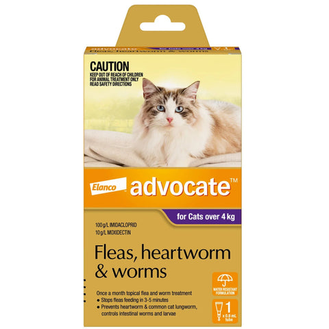 Advocate for Cats over 4Kg Purple 1 Pack | petsome Pet Supplies