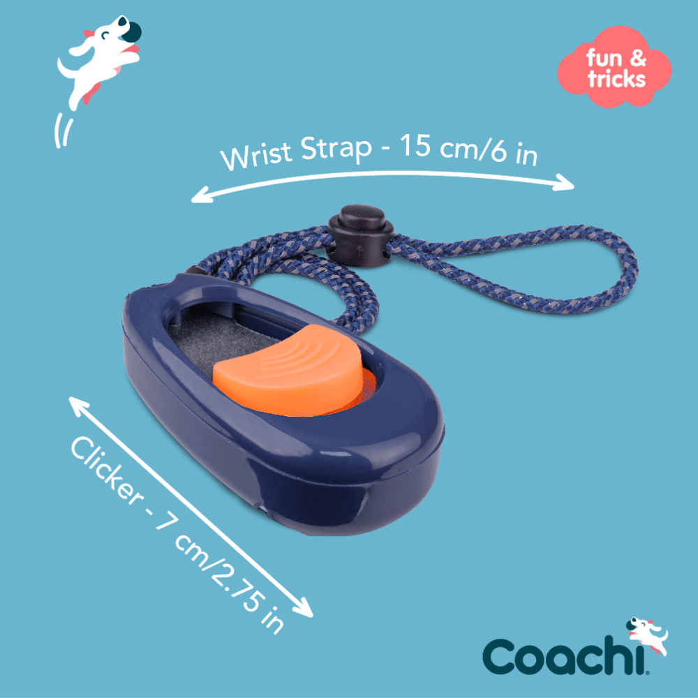 Dog Multi Clicker Navy