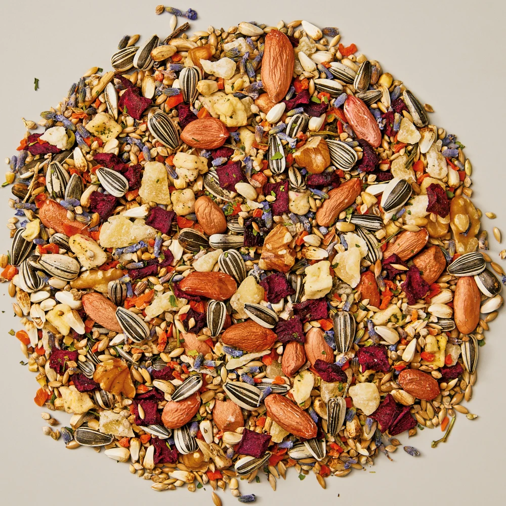 Small Parrot Gourmet Fruit Vegetable And Nut Blend Food