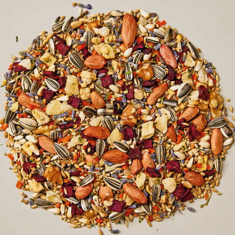 Small Parrot Gourmet Fruit Vegetable And Nut Blend Food