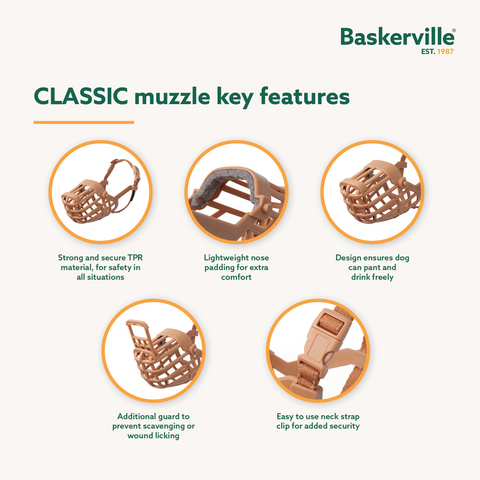 Classic Basket Muzzle Dog Beige