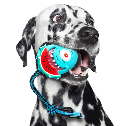 Max & Molly Snuggles Dog Toy
