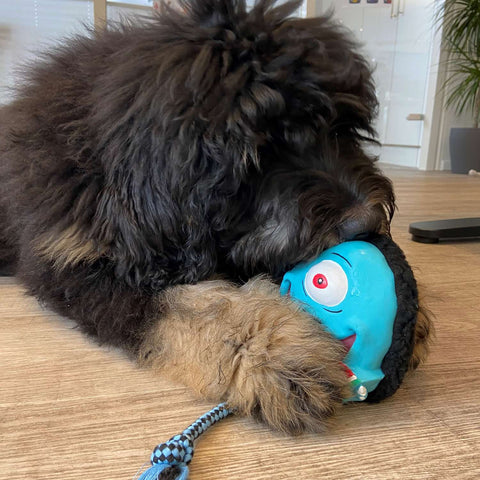 Max & Molly Snuggles Dog Toy