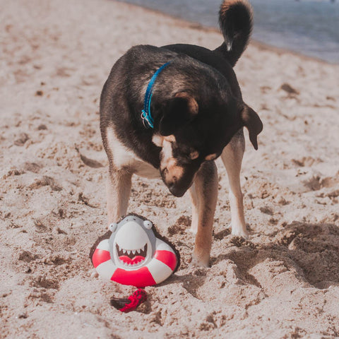Max & Molly Snuggles Dog Toy