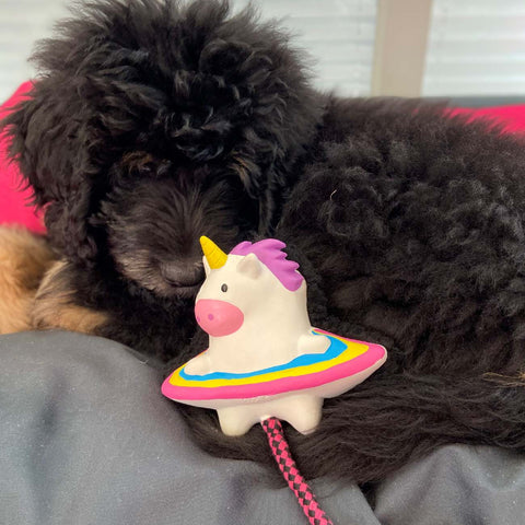Max & Molly Snuggles Dog Toy