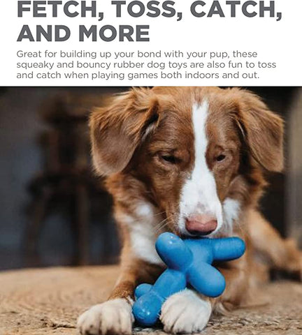 Charming Pet Latex Rubber Balloon Squeaky Dog Toy