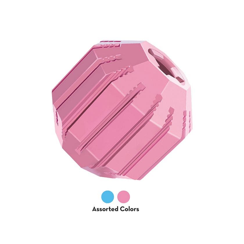 KONG Activity Ball Puppy Toy Assorted