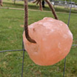 Minrosa Salt Roll with Rope