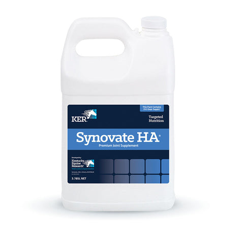 KER Synovate HA