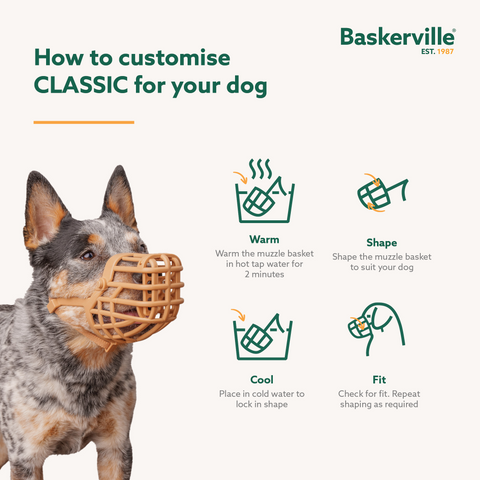 Classic Basket Muzzle Dog Beige