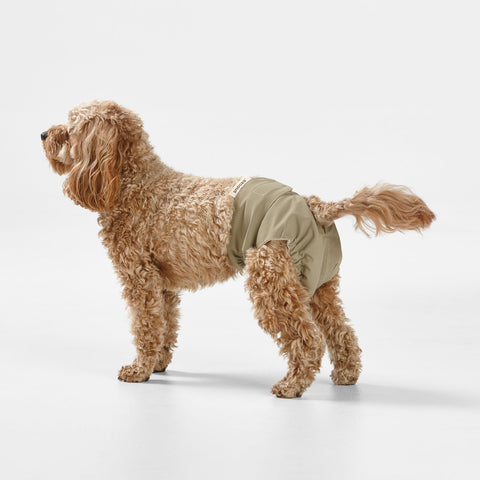 Snooza Washable Nappy Pant for Female Dogs 2 Pack