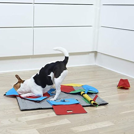 Buster Activity Snuffle Mat Replacement Task - Book