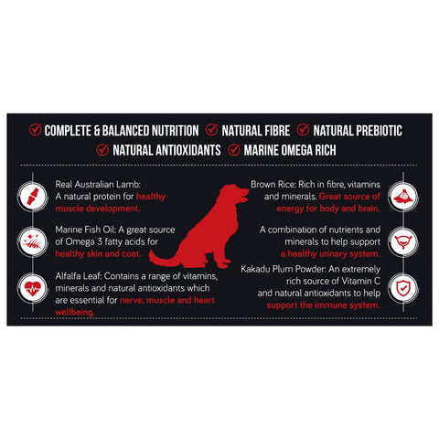 Talentail Dry Adult Dog Food Lamb with Brown Rice