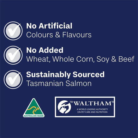 ADVANCE Large Oodles Dry Dog Food Salmon with Rice