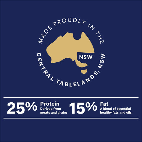 ADVANCE Large Oodles Dry Dog Food Salmon with Rice