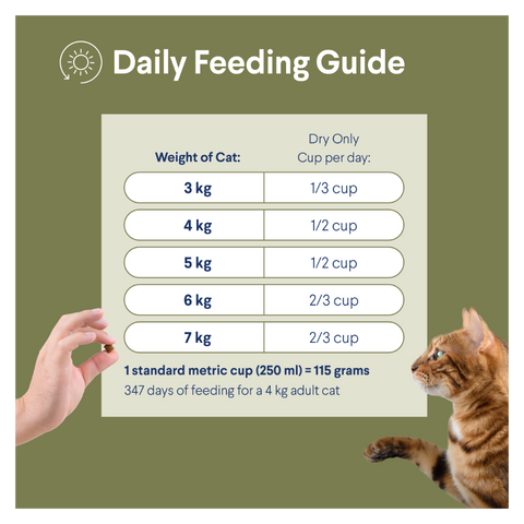 Adult Ocean Fish Dry Cat Food