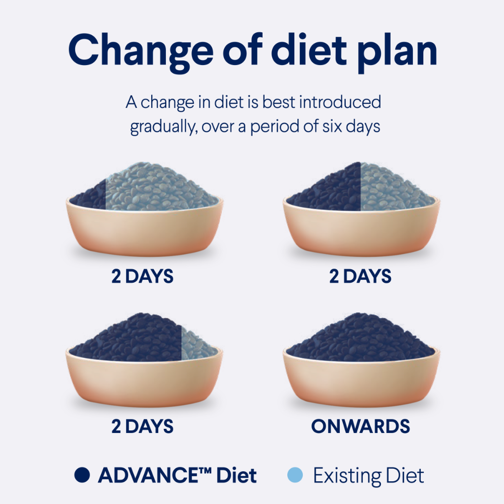 Adult Triple Action Dental Chicken Dry Cat Food