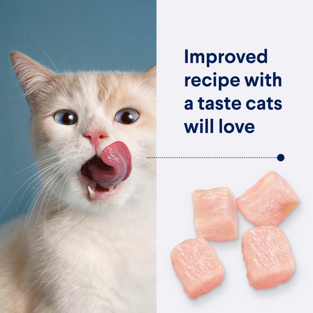 Adult Triple Action Dental Chicken Dry Cat Food