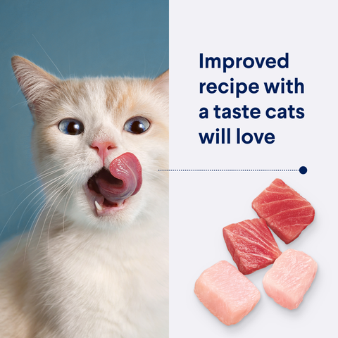 Adult Multi Cat Chicken And Ocean Fish Dry Cat Food