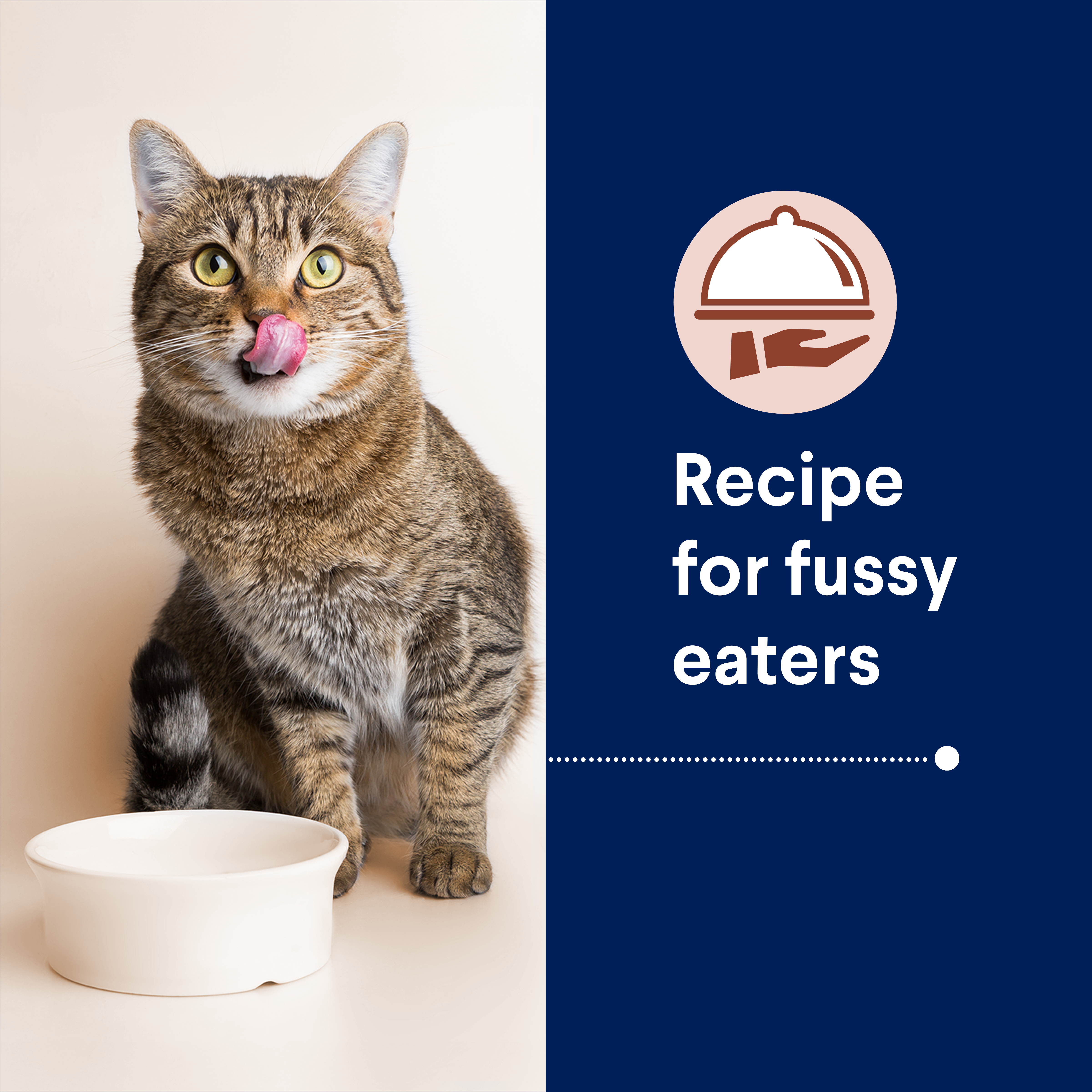 Adult Multi Cat Chicken And Ocean Fish Dry Cat Food