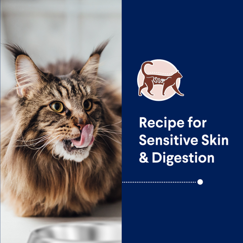 Adult Sensitive Skin And Digestion Turkey Dry Cat Food