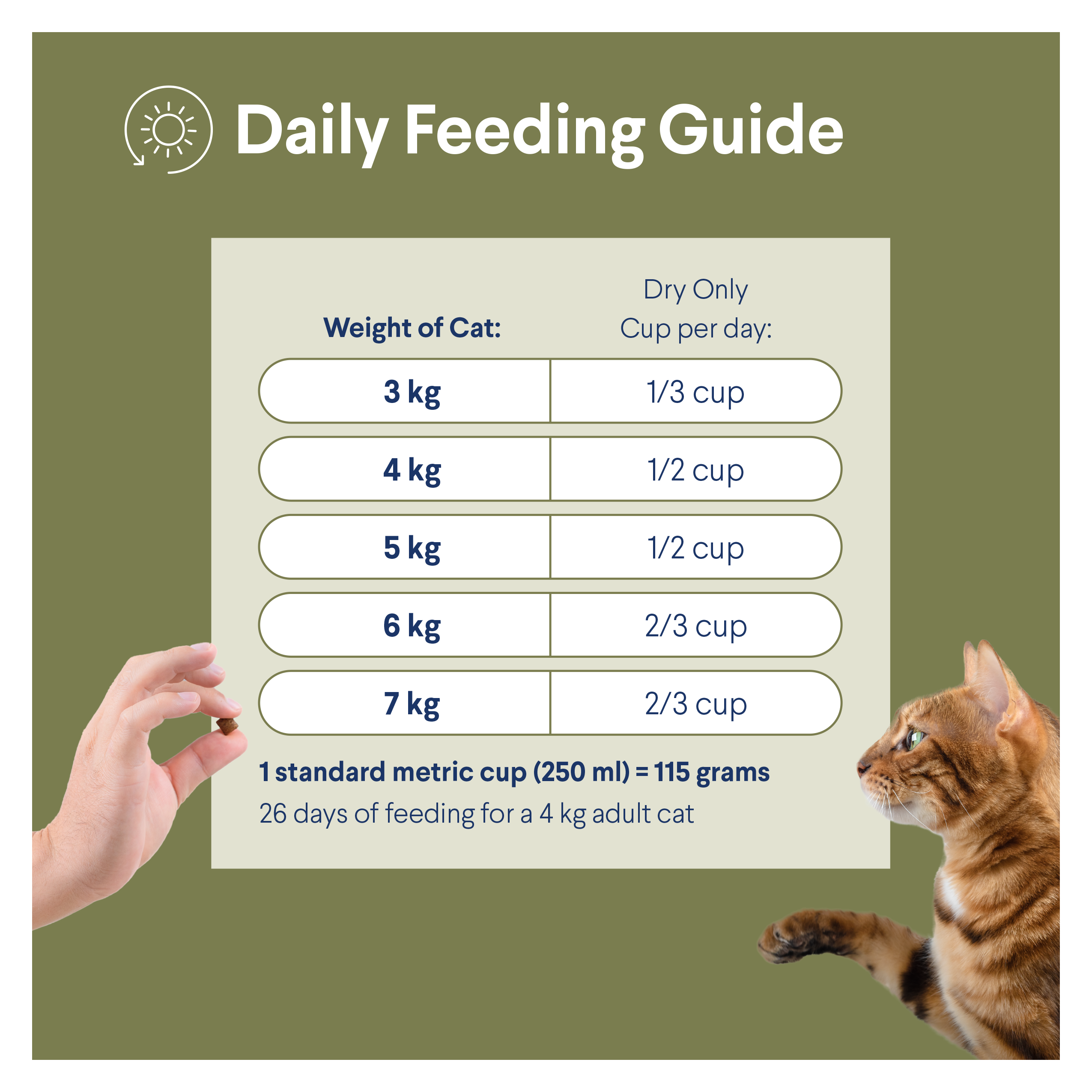 Adult Sensitive Skin And Digestion Turkey Dry Cat Food