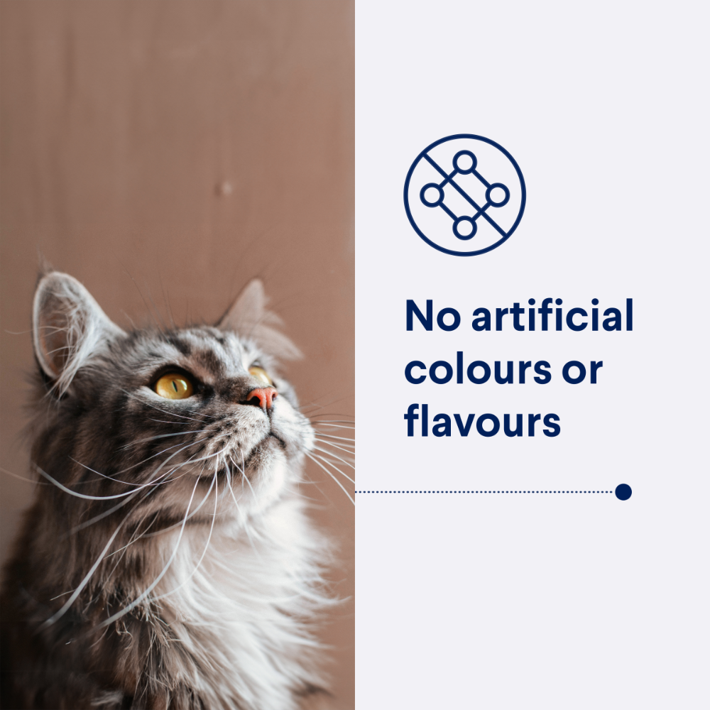 Adult Healthy Ageing Chicken Dry Cat Food